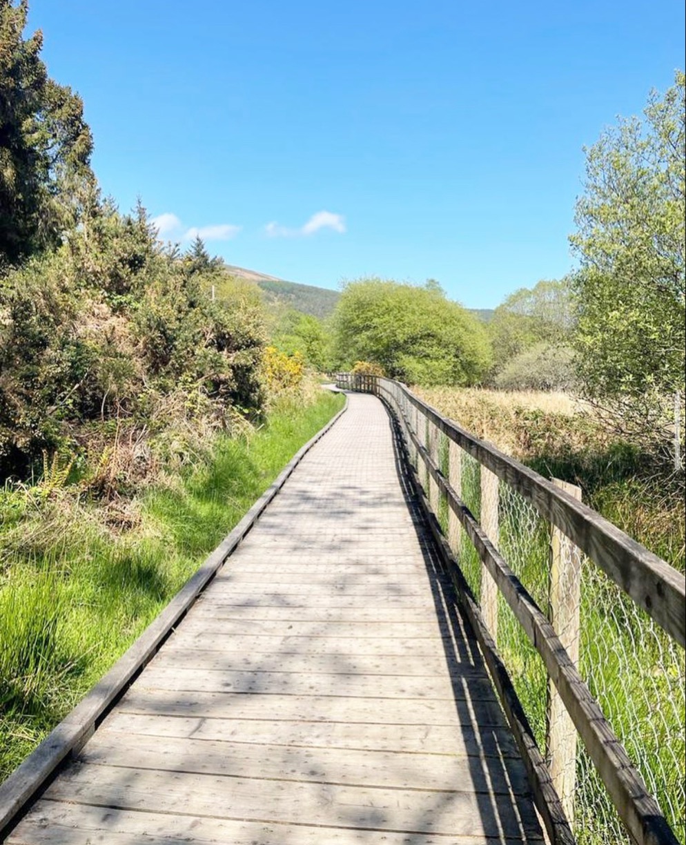 Wooden Walkway